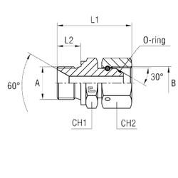 Соединение PFN BSP 1.1/4" BSP 1.1/4"