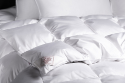 Одеяло теплое 200х220 German Grass Эйдар (Exclusive Cotton Eider Down)