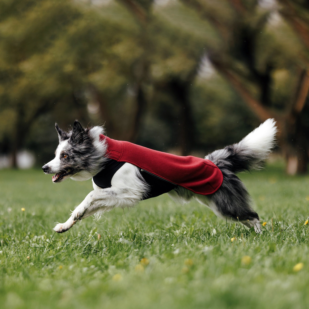 Флисовая кофта DOGLEA СПОРТ КОМФОРТ