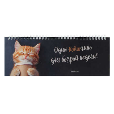 Планинг недатированный, 290х100 мм, 64 листов, гребень по длинной стороне, глянцевая ламинация