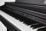 Artesia DP-10e