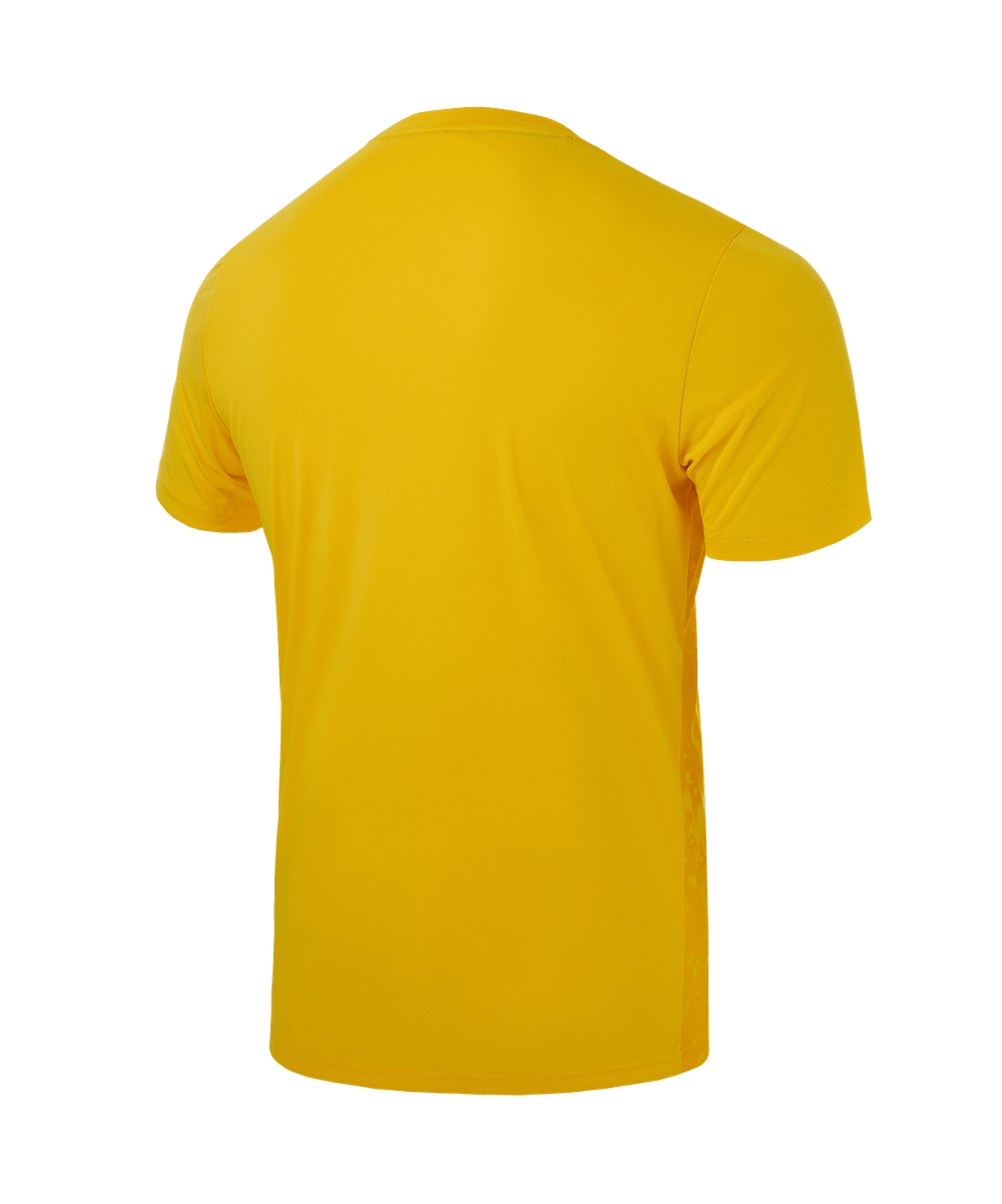 Футболка вратарская DIVISION PerFormDRY SPLASH GK Jersey, желтый