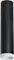 Точечный светильник Rullo R4973436 Lightstar