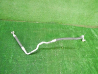 DSCN8667.JPG