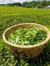 Чай Дарджилинг Масала Bharat Bazaar Darjeeling Masala 100 г