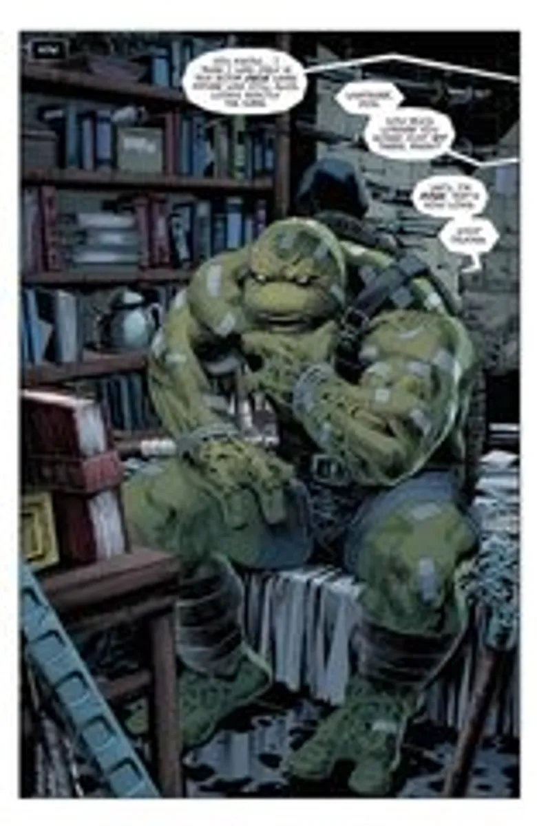 Teenage Mutant Ninja Turtles The Last Ronin HC