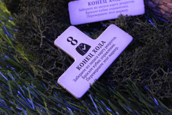 Корни. Речные рекруты-16224-crowdgames.ru-7