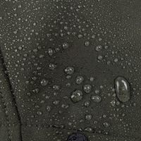 Куртка Softshell демисезонная "Папоротник" подростковая
