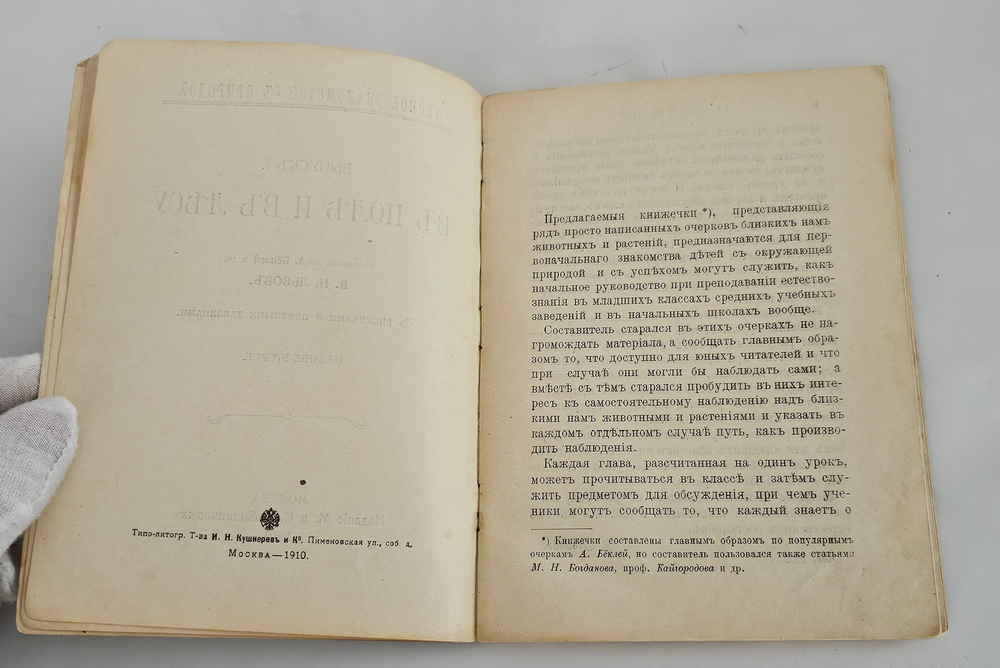 "В поле и в лесу". В. Н. Львов. 1910г.
