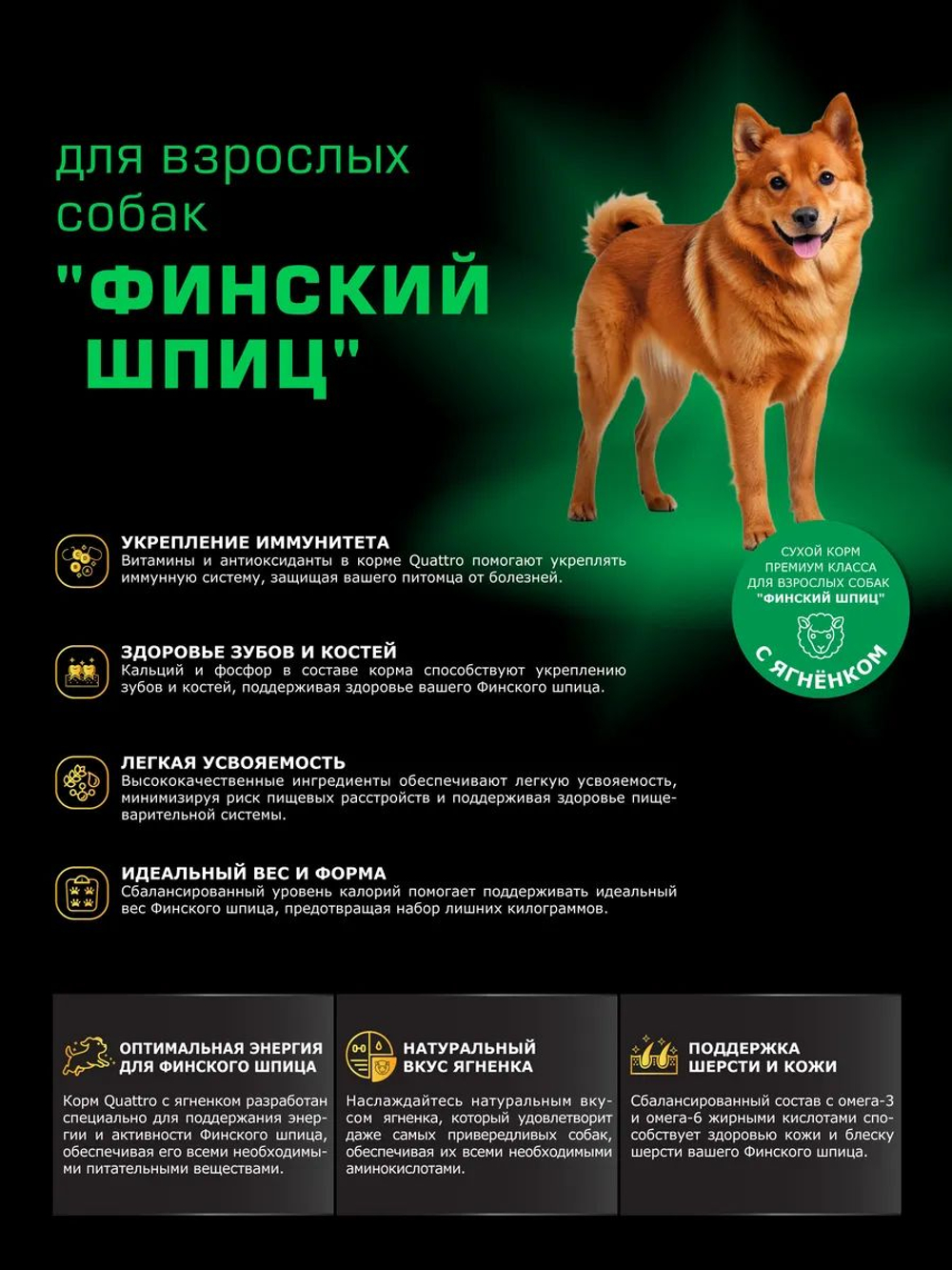 Корм сухой для взрослых собак породы Финский шпиц, с ягненком, 2,5 кг, QUATTRO