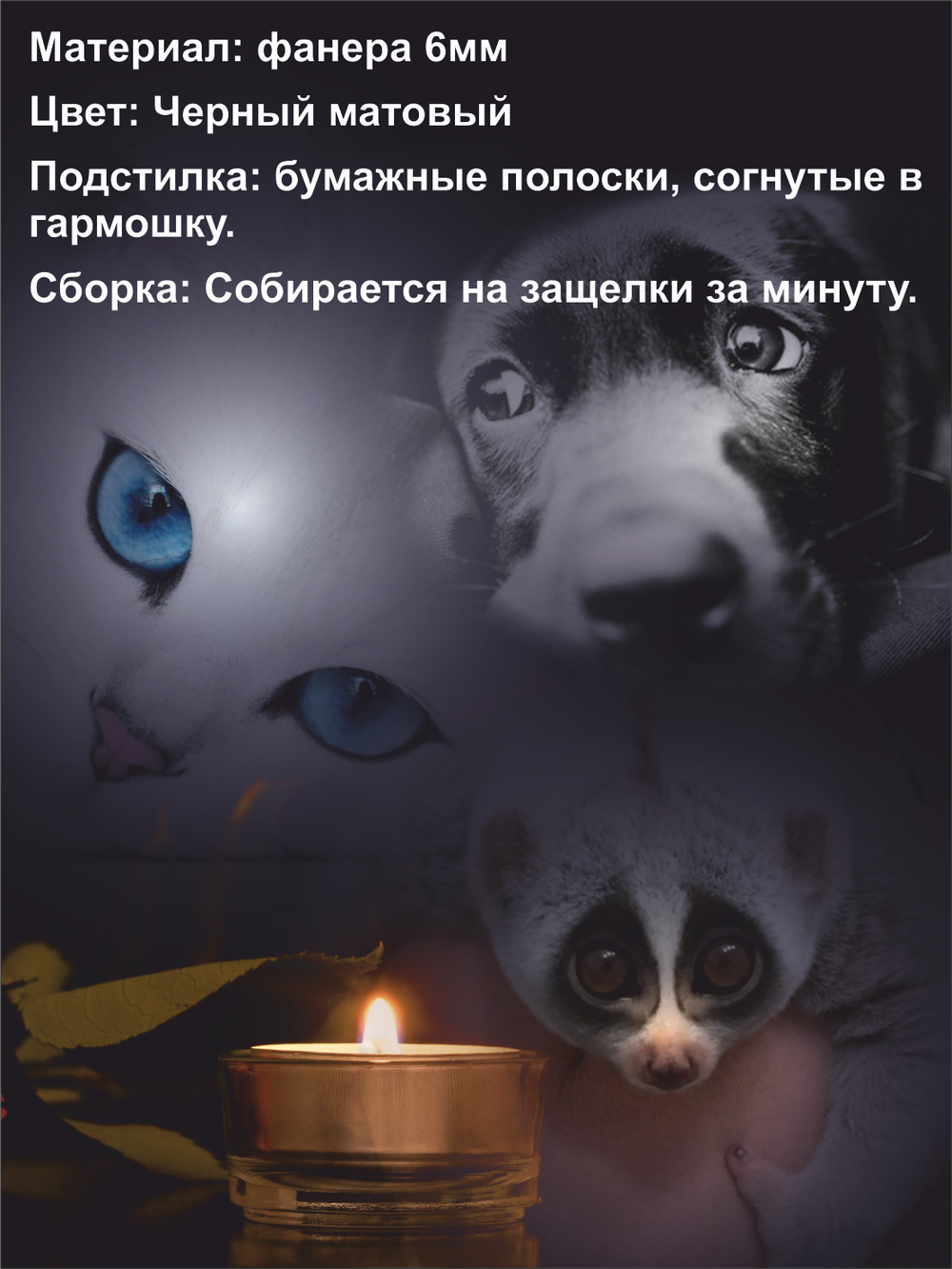 Гроб для животных