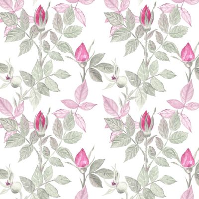 Дикая роза / Rosehip