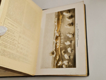 "Военная энциклопедия. Том IV от («Б (Blanc) порох» до «Бомба»)". 1911г. - раритет