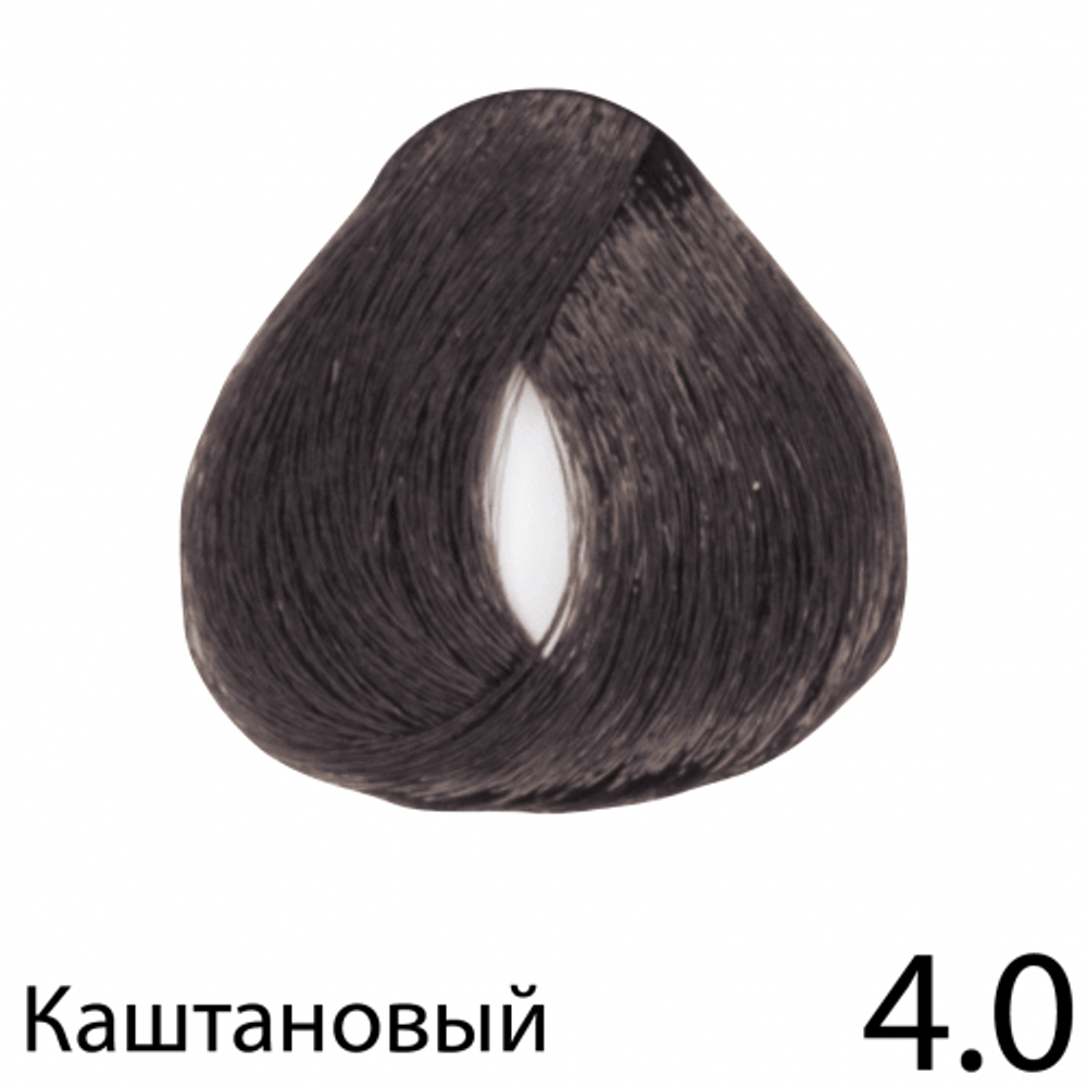 Безаммиачная перманентная крем-краска REGAL ZERO (каштановая), 4.0, BES, 100 мл. Безаммиачная перманентная крем-краска REGAL ZERO (каштановая), 4.0, BES, 100 мл.