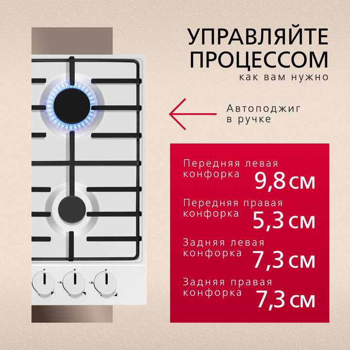 Газовая панель Hansa BHGW630301
