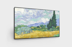 Телевизор LG 77"; OLED77G1RLA Evo OLED