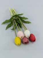 Тюльпан силикон VIP нежно-розовый