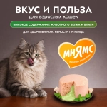 Влажный корм Мнямс Деликатес "Фондан" из мяса курицы с кошачьей мятой для кошек 6 шт по80 г