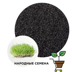 Лук энергия (семена)