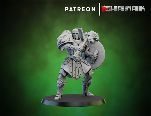 Grand Alliance Order  Stormcast Eternal Sequitors Воитель с молотом и щитом №1 миниатюра для dnd, днд, pathfinder, фентези, Настольная игра, НРИ, Варгейм, РПГ