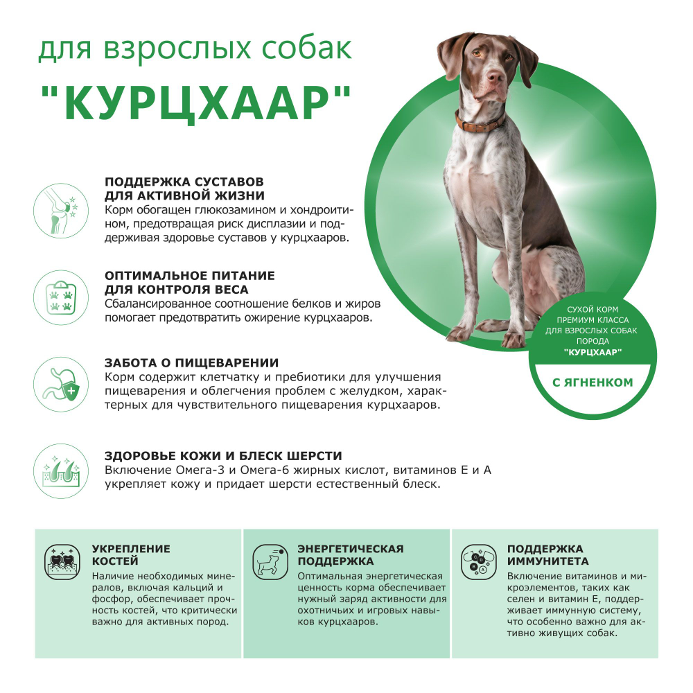 Корм сухой для взрослых собак породы Курцхаар, с ягненком, 2.5 кг, QUATTRO