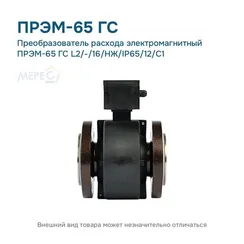 Преобразователь расхода электромагнитный ПРЭМ-65 ГС L2/-/16/НЖ/IP65/12/C1
