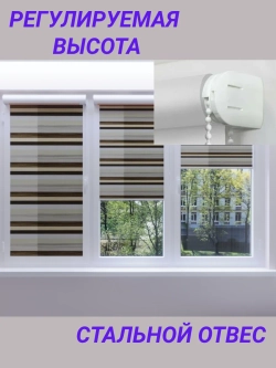 Рулонные шторы День-Ночь Зебра 58х110 см