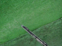 DSCN9754.JPG