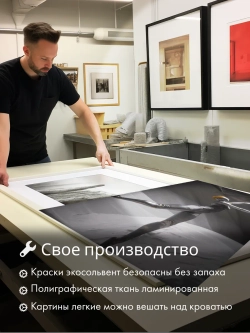 Картина Балет стального сердца модульная 50x70см 2шт.