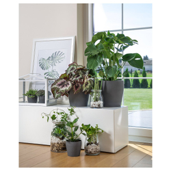 IKEA PERSILLADE  (ИКЕА ПЕРСИЛЛАДЕ)  -  Кашпо - тёмно-серый 12 см