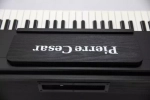 Pierre Cesar DP-12-H