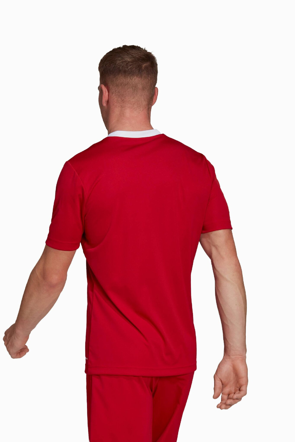 Футболка adidas Entrada 22