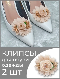 Клипсы украшения на туфли