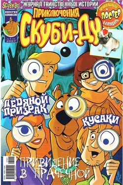 Приключения Скуби-Ду #1 (2007)