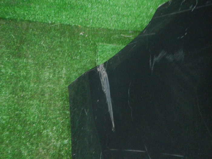 DSCN4233.JPG
