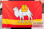 Флаг Челябинской области 40x60 см