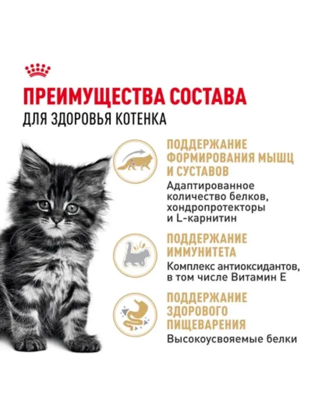 Maine Coon Kitten Корм для котят в соусе 85г*24шт