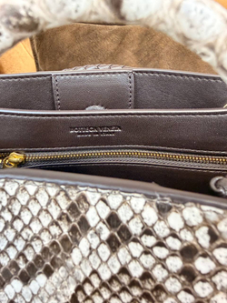 Клатч-Сумка Bottega Veneta Andiamo Small 26 из кожи Питона