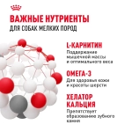 Сухой корм, для собак мелких пород с 10 месяцев до 8 лет Royal Canin РАЗВЕСНОЙ