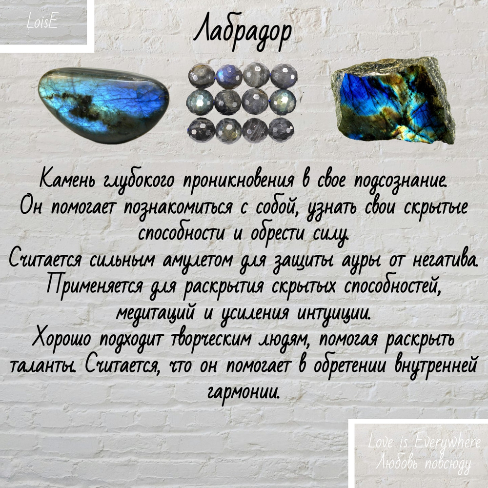 Лабрадор. Чокер классика. Камень крошка