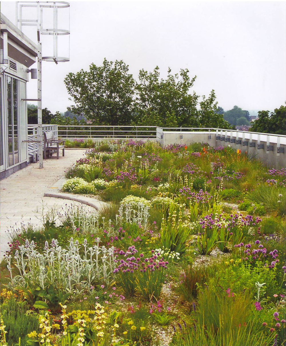 Planting: A New Perspective