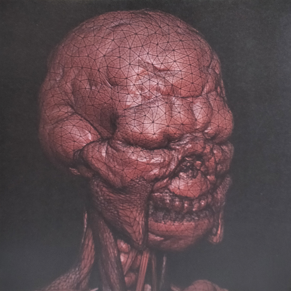 KoMaRa / KoMaRa (LP)