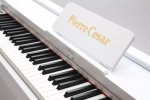 Pierre Cesar DP-12-H