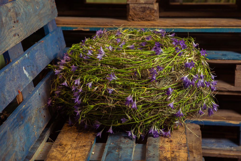 International Floral Art 2014/2015
