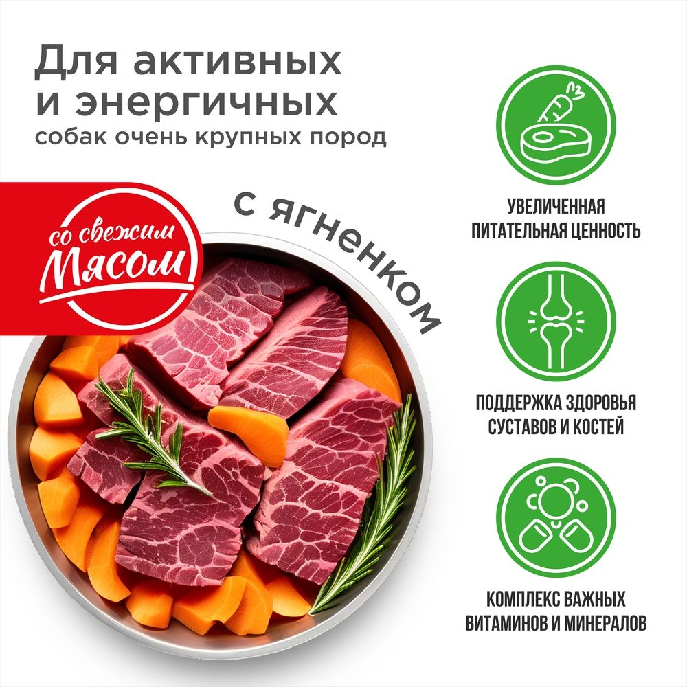 Корм сухой для взрослых собак очень крупных пород, премиум полнорационный комплекс, для активных и энергичных, с ягненком, 2,5 кг, QUATTRO