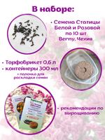 Статица Белая и Розовая, Лимониум, набор семян + торфяной грунт в подарок, 20 шт