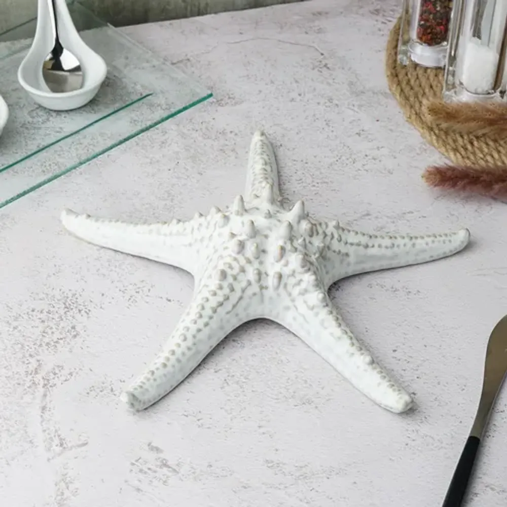 Блюдо для подачи 24 см h6 см для закусок Звезда Gray Starfish Frutti di Mare P.L. [1]