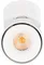 Спот Focus 10323/A White Loft It