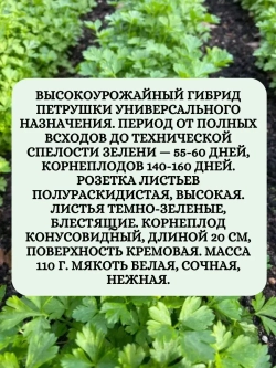 Набор семян петрушка+укроп+лук на зелень 30 гр