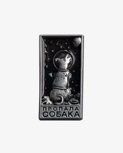 Пин Масть Пропала собака